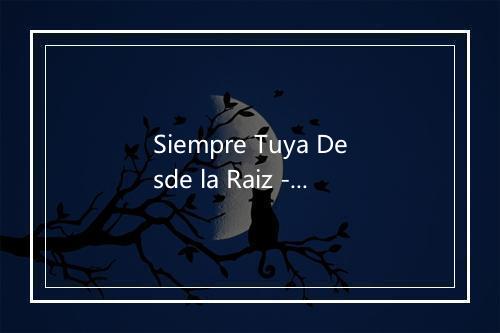 Siempre Tuya Desde la Raiz - Cinco dee Mayo-歌词