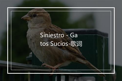 Siniestro - Gatos Sucios-歌词