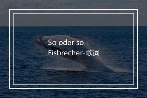 So oder so - Eisbrecher-歌词