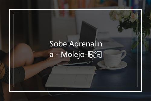 Sobe Adrenalina - Molejo-歌词