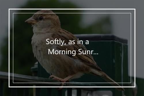 Softly, as in a Morning Sunrise - Abbey Lincoln (艾比·林肯)-歌词_1