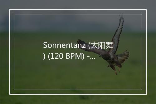 Sonnentanz (太阳舞) (120 BPM) - Running Music-歌词