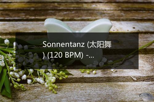 Sonnentanz (太阳舞) (120 BPM) - Stretching Chillout Music Academy-歌词