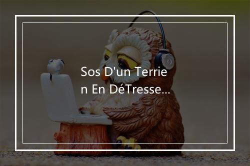 Sos D'un Terrien En DéTresse (一个忧伤者的求救) - En Avant La Musique-歌词