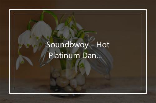 Soundbwoy - Hot Platinum Dance Makers-歌词_1