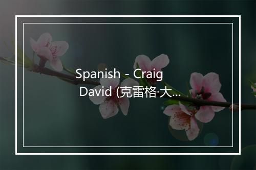 Spanish - Craig David (克雷格·大卫)-歌词