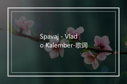 Spavaj - Vlado Kalember-歌词