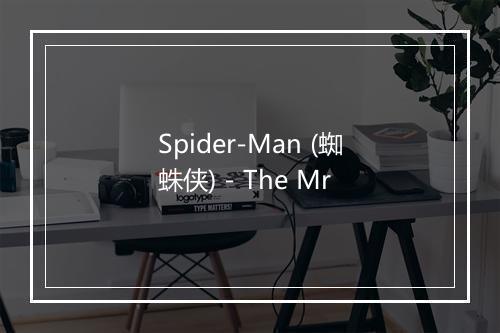 Spider-Man (蜘蛛侠) - The Mr