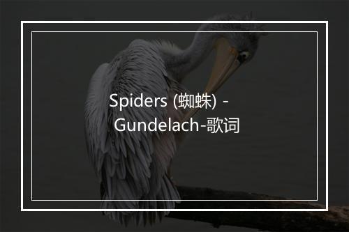 Spiders (蜘蛛) - Gundelach-歌词