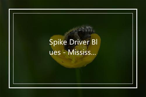 Spike Driver Blues - Mississippi John Hurt-歌词