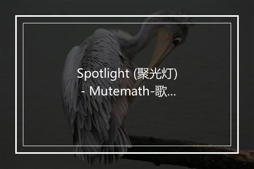 Spotlight (聚光灯) - Mutemath-歌词