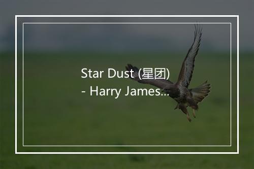 Star Dust (星团) - Harry James (哈瑞·詹姆斯)-歌词