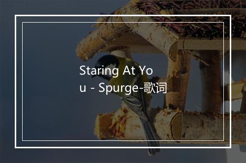 Staring At You - Spurge-歌词