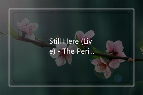 Still Here (Live) - The Perishers-歌词