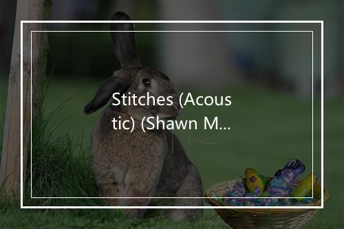 Stitches (Acoustic) (Shawn Mendes Cover) - Billboard Top 100 Hits-歌词