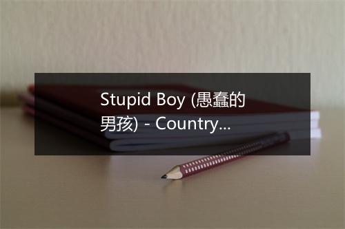 Stupid Boy (愚蠢的男孩) - Country Big Band-歌词