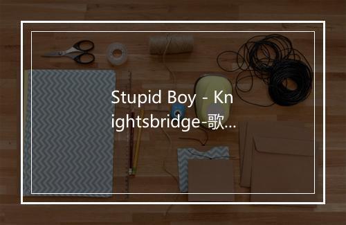 Stupid Boy - Knightsbridge-歌词