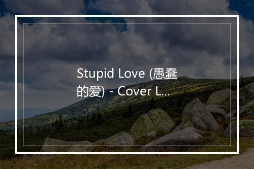 Stupid Love (愚蠢的爱) - Cover Love Too-歌词_1