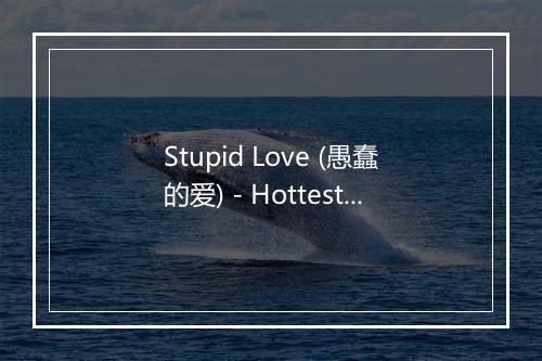 Stupid Love (愚蠢的爱) - Hottest Hit Heroes-歌词