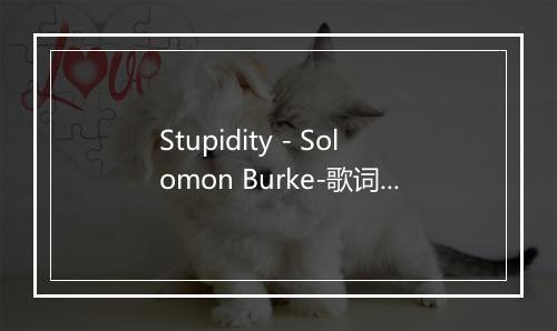 Stupidity - Solomon Burke-歌词_3