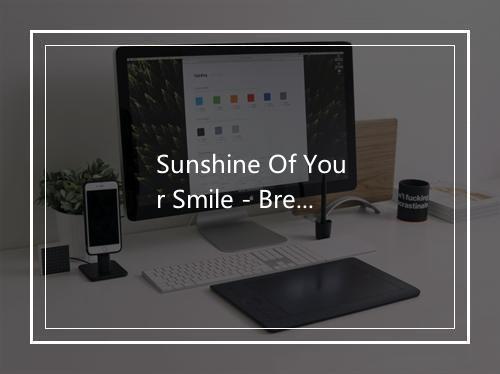 Sunshine Of Your Smile - Brendan Bowyer-歌词