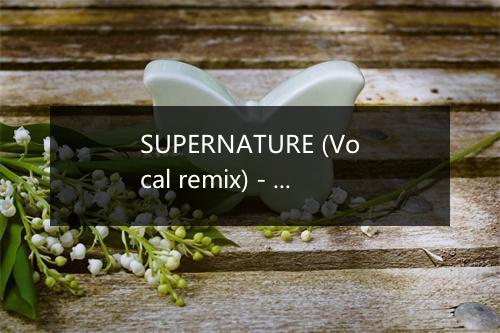 SUPERNATURE (Vocal remix) - DJ Hush-歌词_1