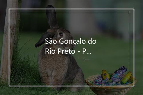 São Gonçalo do Rio Preto - Pena Branca-歌词