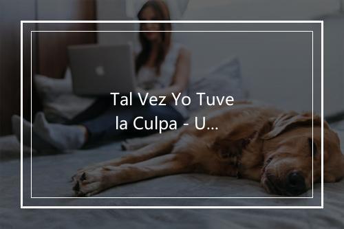 Tal Vez Yo Tuve la Culpa - Uriel Lozano-歌词