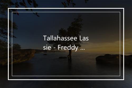 Tallahassee Lassie - Freddy Cannon-歌词_1