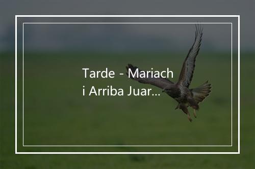 Tarde - Mariachi Arriba Juarez-歌词