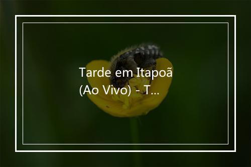 Tarde em Itapoã(Ao Vivo) - Toquinho-歌词