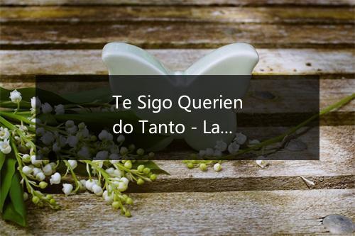 Te Sigo Queriendo Tanto - La Grego-歌词