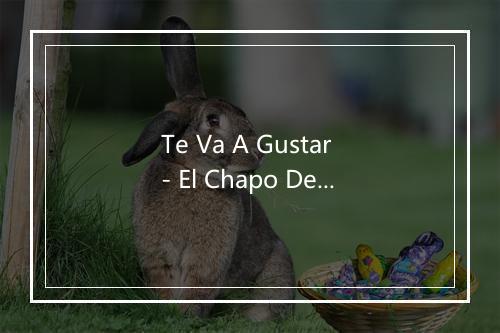 Te Va A Gustar - El Chapo De Sinaloa-歌词