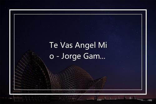 Te Vas Angel Mio - Jorge Gamboa-歌词