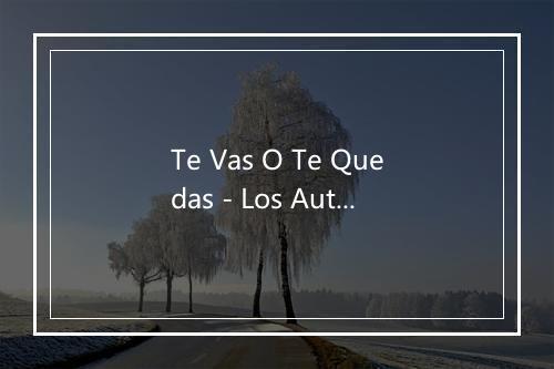 Te Vas O Te Quedas - Los Autenticos Sinceros del Norte-歌词