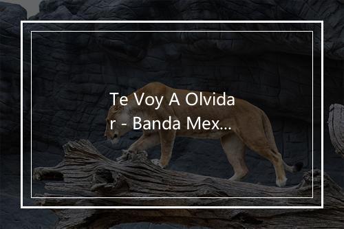 Te Voy A Olvidar - Banda Mexicana De Mariachis-歌词