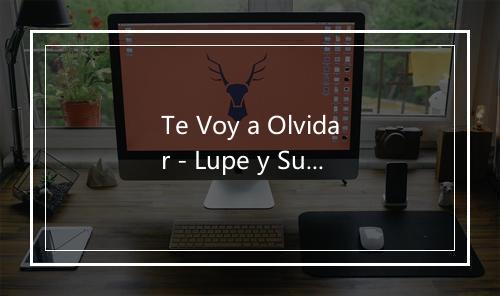 Te Voy a Olvidar - Lupe y Sus Mariachis-歌词_1