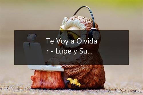 Te Voy a Olvidar - Lupe y Sus Mariachis-歌词_3