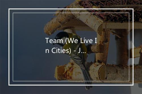 Team (We Live In Cities) - Jewels-歌词