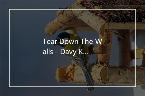 Tear Down The Walls - Davy Knowles-歌词