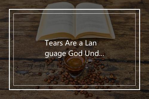 Tears Are a Language God Understands - The Worship Crew-歌词