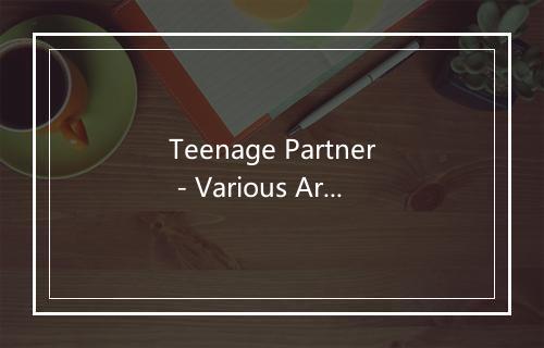 Teenage Partner - Various Artists (欧美群星)-歌词