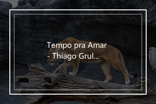 Tempo pra Amar - Thiago Grulha-歌词