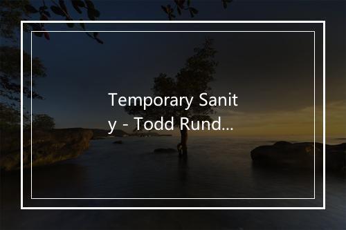 Temporary Sanity - Todd Rundgren-歌词