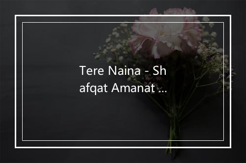 Tere Naina - Shafqat Amanat Ali-歌词