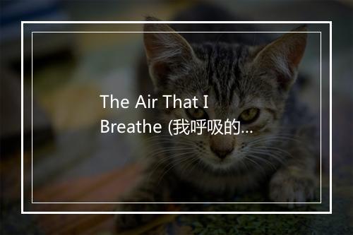 The Air That I Breathe (我呼吸的空气) - Maroon 5 (魔力红)-歌词