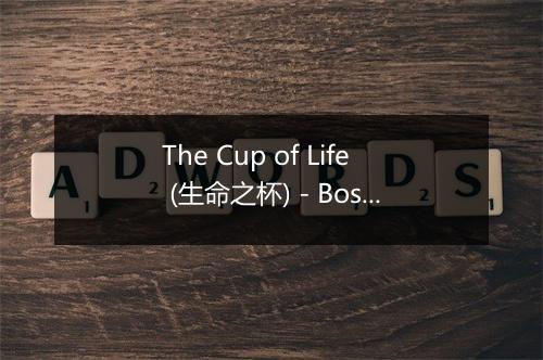 The Cup of Life (生命之杯) - Bossa Brazillia-歌词