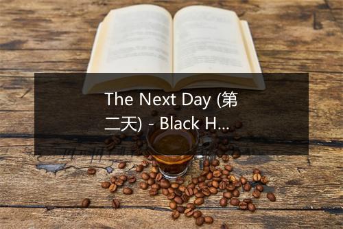 The Next Day (第二天) - Black Hole Sun-歌词