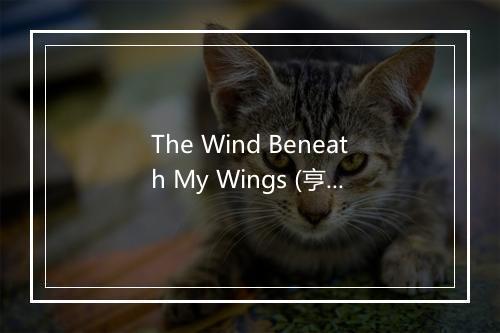 The Wind Beneath My Wings (亨利：迎风展翅) - The Sign Posters-歌词