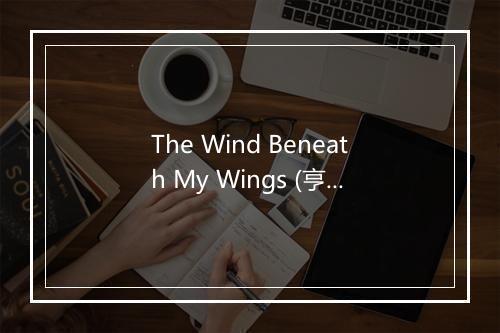 The Wind Beneath My Wings (亨利：迎风展翅) - The Sign Posters-歌词_1